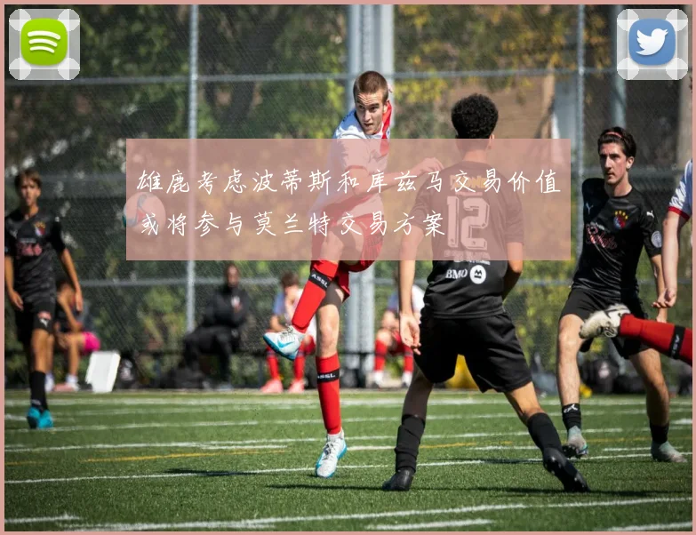 雄鹿考虑波蒂斯和库兹马交易价值或将参与莫兰特交易方案